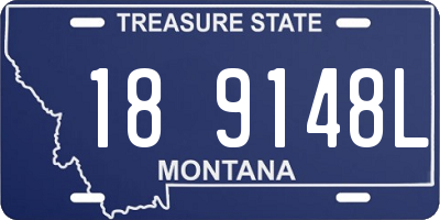 MT license plate 189148L