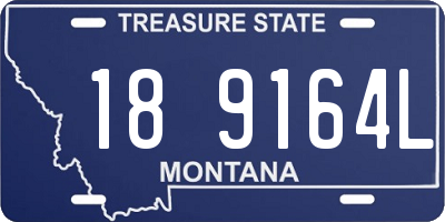 MT license plate 189164L