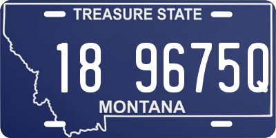 MT license plate 189675Q