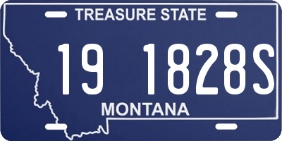 MT license plate 191828S