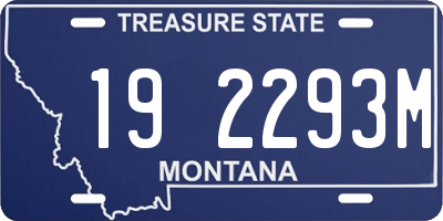 MT license plate 192293M
