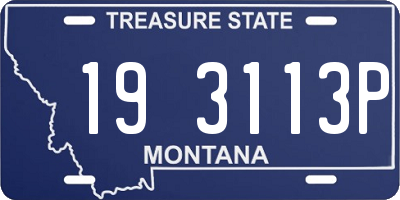 MT license plate 193113P