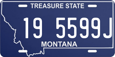 MT license plate 195599J