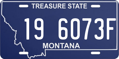 MT license plate 196073F