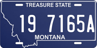 MT license plate 197165A