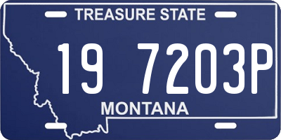 MT license plate 197203P