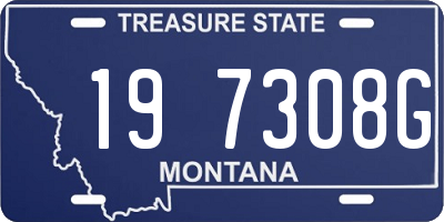 MT license plate 197308G