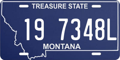MT license plate 197348L