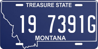 MT license plate 197391G