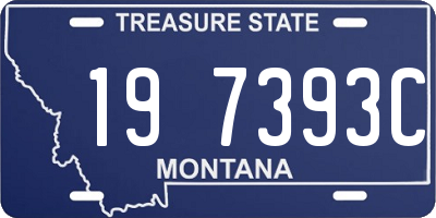 MT license plate 197393C