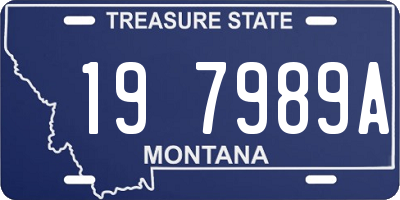 MT license plate 197989A