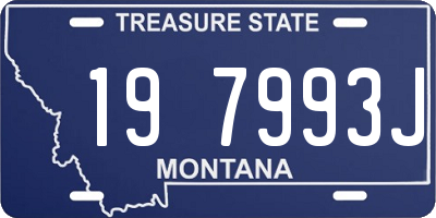 MT license plate 197993J