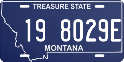 MT license plate 198029E