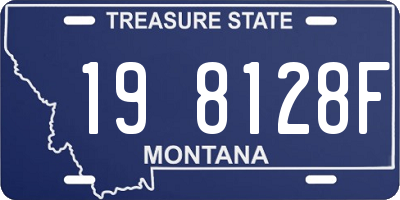 MT license plate 198128F