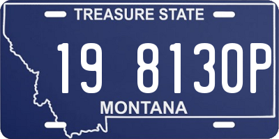MT license plate 198130P