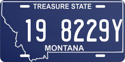 MT license plate 198229Y