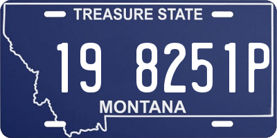 MT license plate 198251P