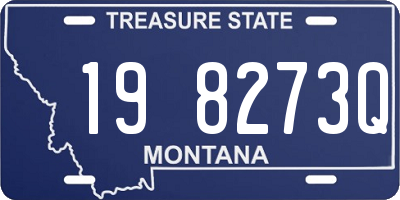 MT license plate 198273Q