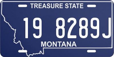 MT license plate 198289J