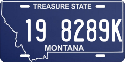 MT license plate 198289K