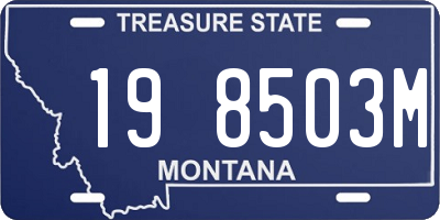 MT license plate 198503M