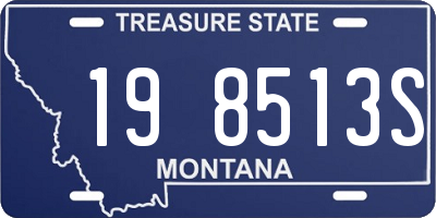 MT license plate 198513S