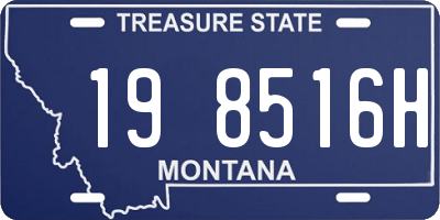 MT license plate 198516H