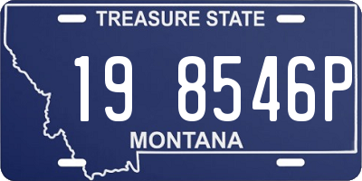 MT license plate 198546P