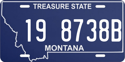 MT license plate 198738B