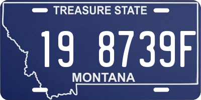 MT license plate 198739F