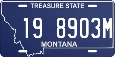 MT license plate 198903M