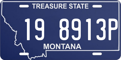 MT license plate 198913P