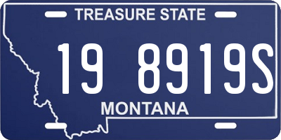 MT license plate 198919S