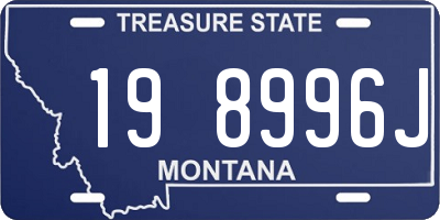 MT license plate 198996J