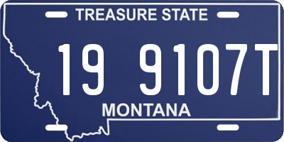 MT license plate 199107T