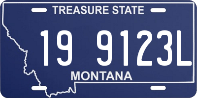 MT license plate 199123L