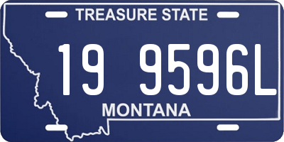 MT license plate 199596L