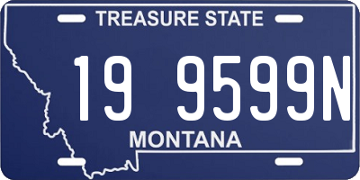 MT license plate 199599N