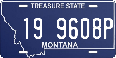 MT license plate 199608P