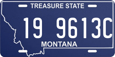 MT license plate 199613C