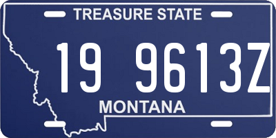 MT license plate 199613Z