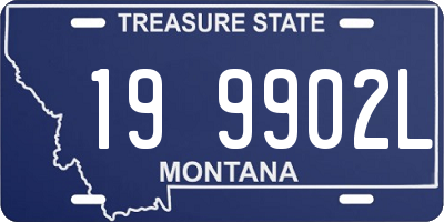 MT license plate 199902L