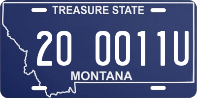 MT license plate 200011U