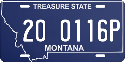 MT license plate 200116P