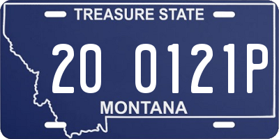 MT license plate 200121P