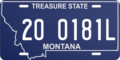 MT license plate 200181L