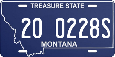 MT license plate 200228S