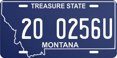 MT license plate 200256U