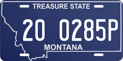 MT license plate 200285P