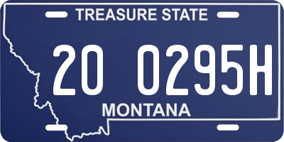 MT license plate 200295H
